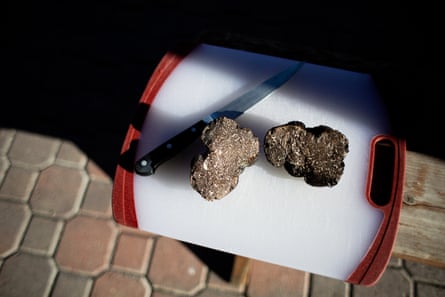 A truffle, sliced in half, at a Jackson Family Wines property.