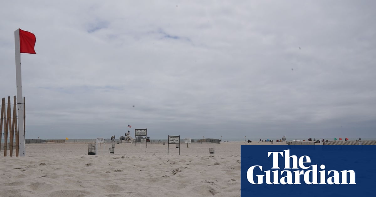 Two New York beaches close after shark bites lifeguard - The Guardian US - Tranquility 國際社群