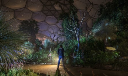 Eden Project Lights Up For Christmas