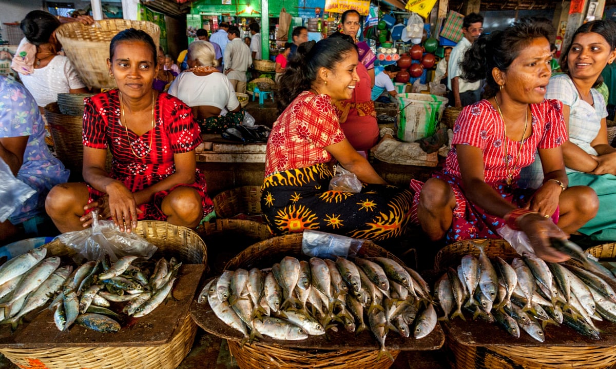 Who buys fish with a credit card here?' Traders scoff at Goa's bid to ditch  cash | India | The Guardian