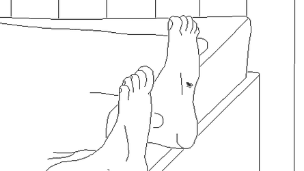 A screenshot of video game Time Flies, with a fly landing on someone’s feet.