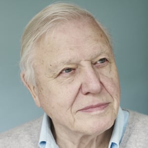 Head shot of Sir David Attenborough