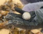Mystery ‘debris balls’ return to NSW beaches as residents warned to steer clear