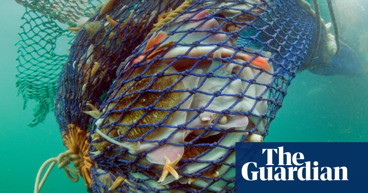 UK MPs call for ban on bottom trawling in protected marine areas