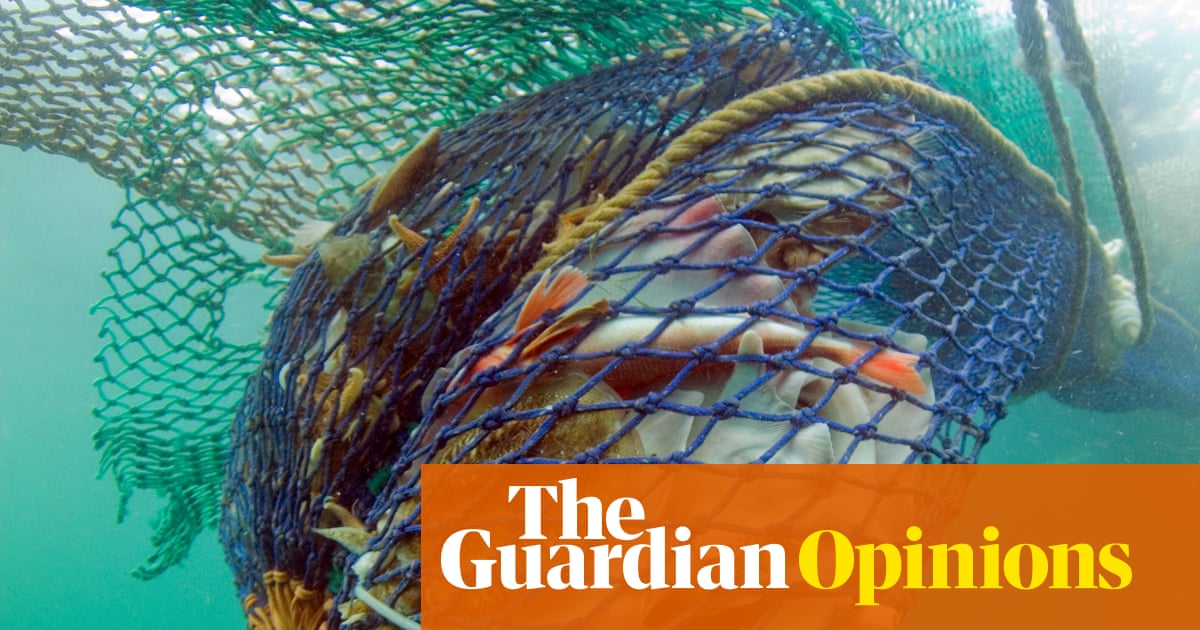 The Guardian view on fishing and nature: bottom-trawling boats don't belong in conservation zones | Editorial