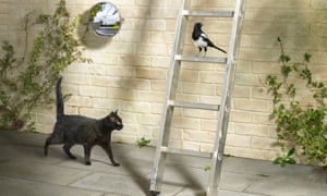 How To Be Lucky On Friday The 13th Nigel Kendall Opinion The Guardian