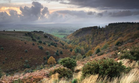 View from Staple Plain, Quantocks, Somerset