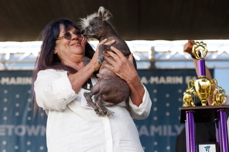 A woman smiles as she holds up her dog, a Chinese crested, next to a purple and gold trophy.