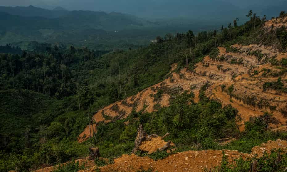 Deforestation in the Leuser ecosystem, Sumatra