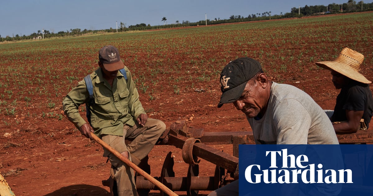 That crazy old man should leave Cuba alone': farmers bear the brunt of Trump's pressure campaign