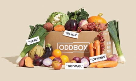 Oddbox subscription service