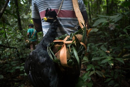 Indigenous Hunting Rights Hunting must be regarded as a human right for indigenous and tribal ...