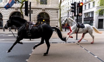 London horse incident<br>PABest Two horses on the loose bolt through the streets of London near Aldwych. Picture date: Wednesday April 24, 2024. PA Photo. See PA story POLICE Horses. Photo credit should read: Jordan Pettitt/PA Wire