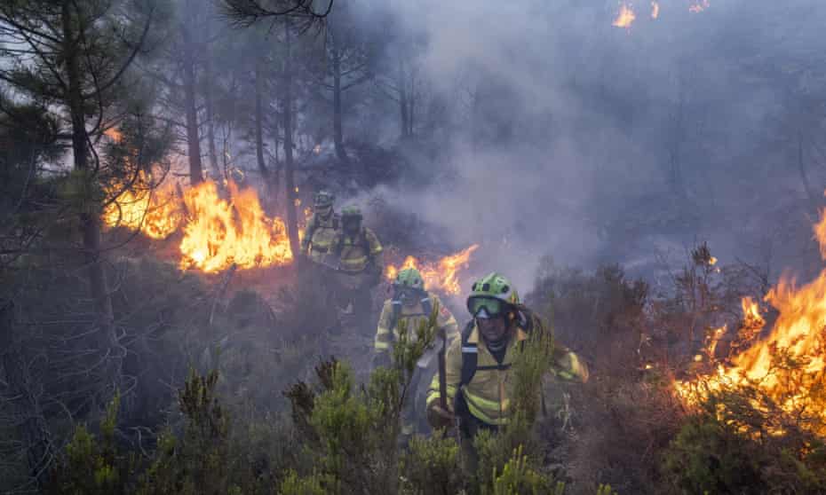 Firefighters tackle wildfire near the town of Jubrique in southern Spain