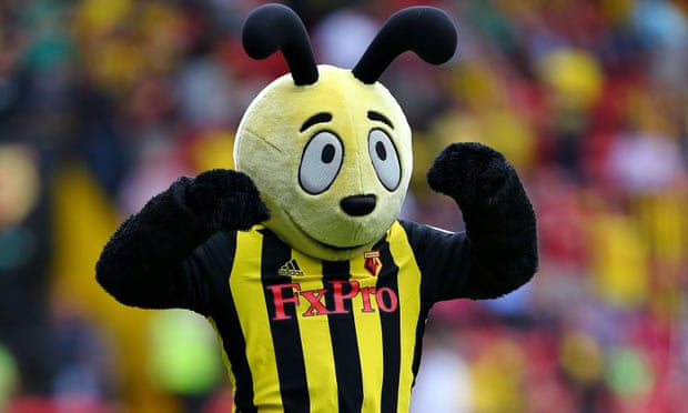 Harry the Hornet goaded Wilfried Zaha after Palace’s visit to Vicarage Road in 2016