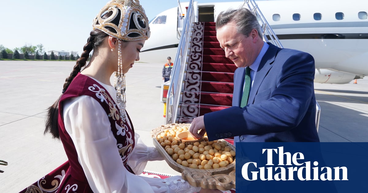 David Cameron under fire for hiring £42m luxury jet for central Asia tour | David Cameron