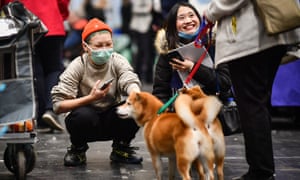 A visitor wears a face mask at Crufts.