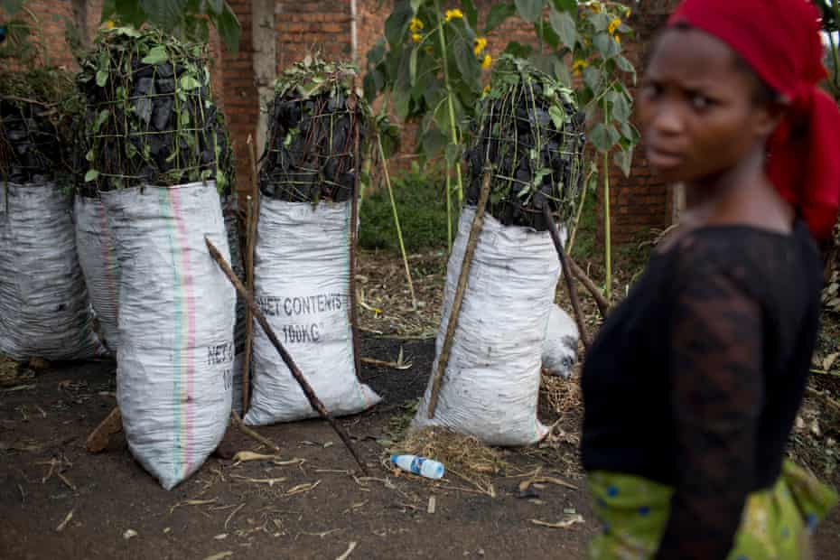 A woman stands next to large sacks of illegally made charcoal, from trees cut from the park