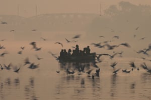 People feed seagulls near the banks of the Yamuna River