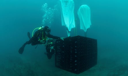 Bottles of wine being lowered to the seabed for the Crusoe Treasure winery.
