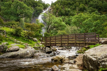 The wooden bridge at Aber Falls.