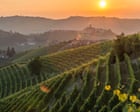Vini del Piemonte: la scelta perfetta per l'autunno