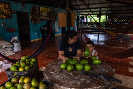 A woman sits with a young boy at a table that is covered with avocados.