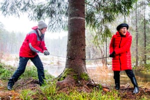 Officials fell a tree in a forest east of Oslo