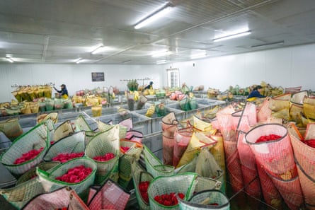 A large room full of baskets of flowers