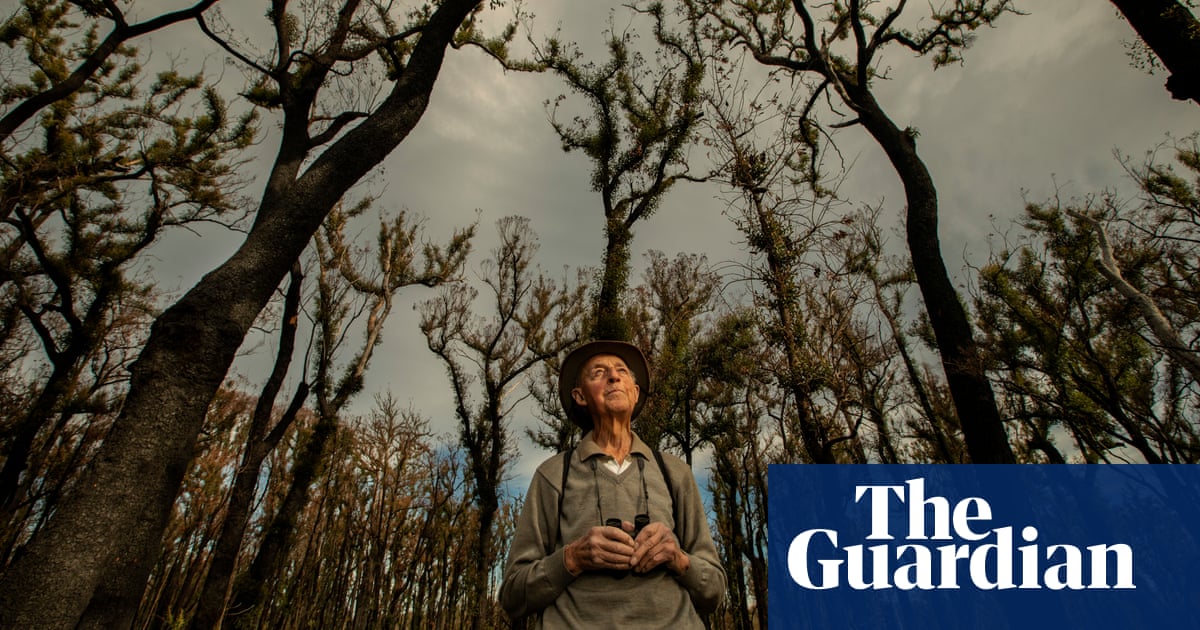 Australia After The Bushfires Environment The Guardian