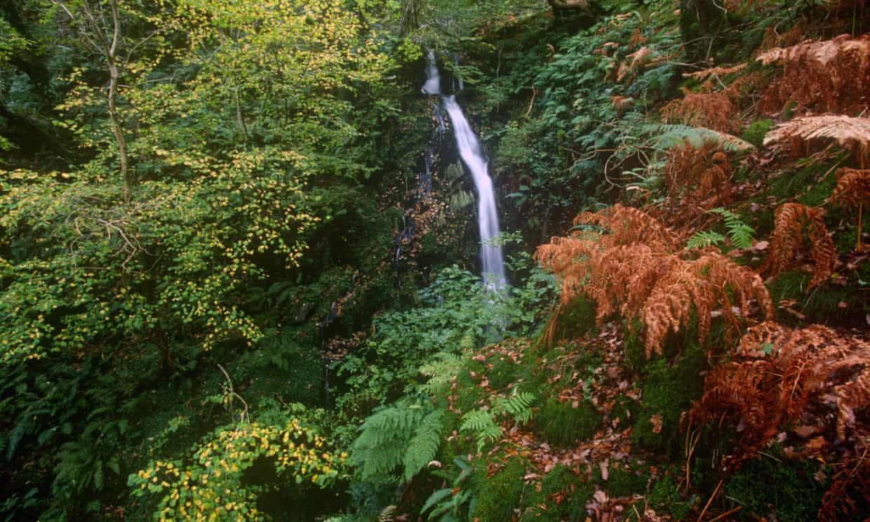 Falls in Dolgoch Ravine Near Tywyn