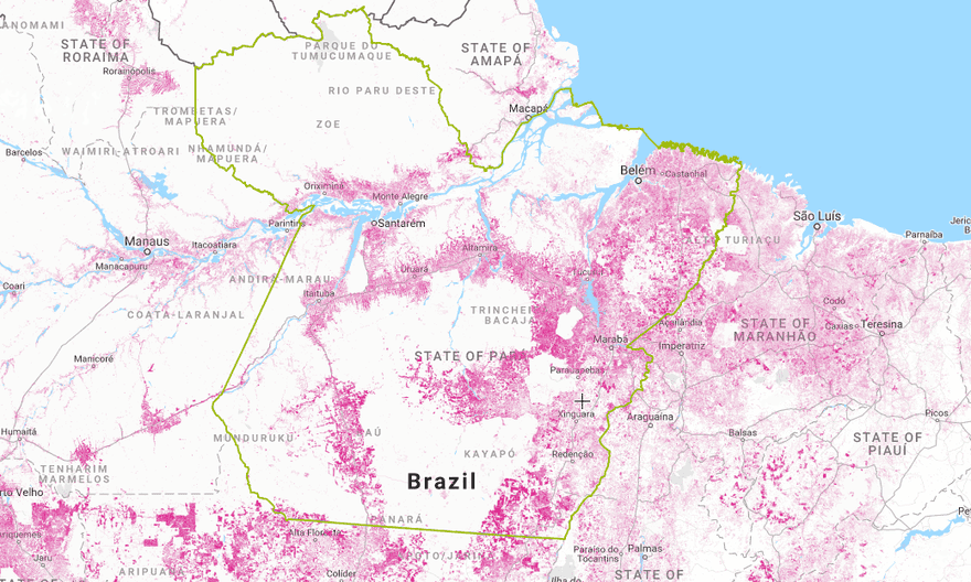 Tree cover loss in the Amazonian state of Pará from 2001 to 2015