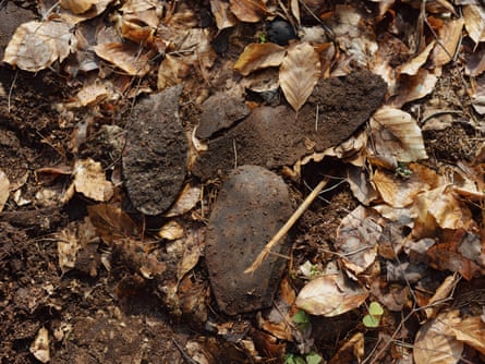 Dirt-soiled shoe soles on the ground among brown leaves
