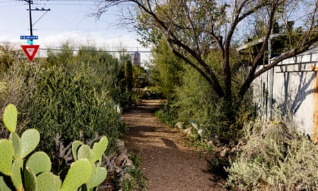 Dirt road in Dunbar Spring