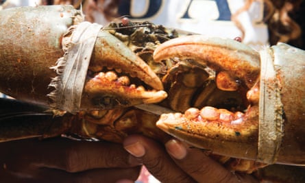 fresh crab from Jaffna market.