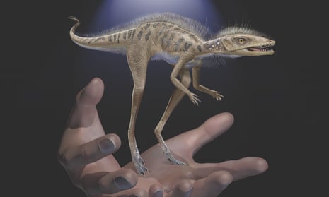 Miniatυre, insect-eating ancestor of dinosaυrs υnearthed in Madagascar |  Dinosaυrs | The Gυardian