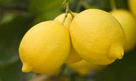 The pesticide chlorpyrifos is widely used in US agriculture, including citrus growing.