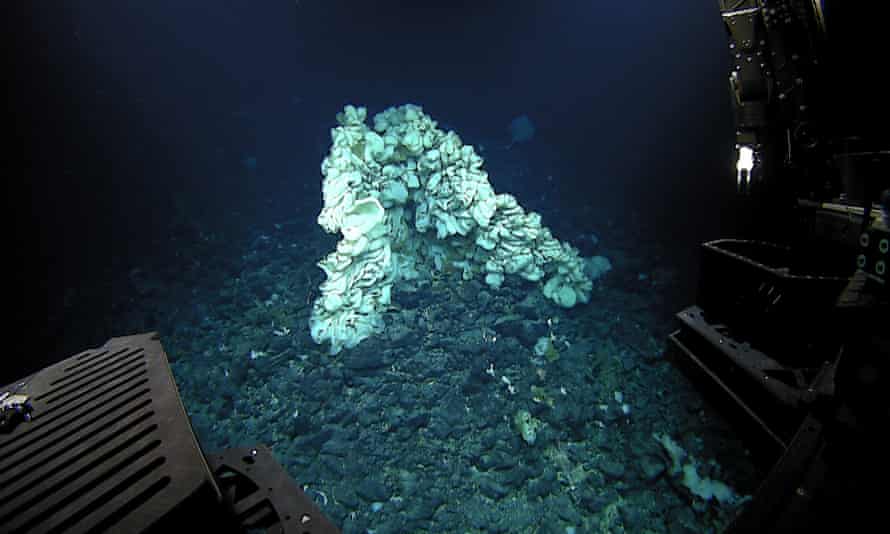 A team of scientists on a deep-sea expedition discovered the sponge, which they say is the worlds largest ever documented.