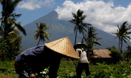 Farmers tend their crops near Amed on Friday, as steam rises from Mount Agung