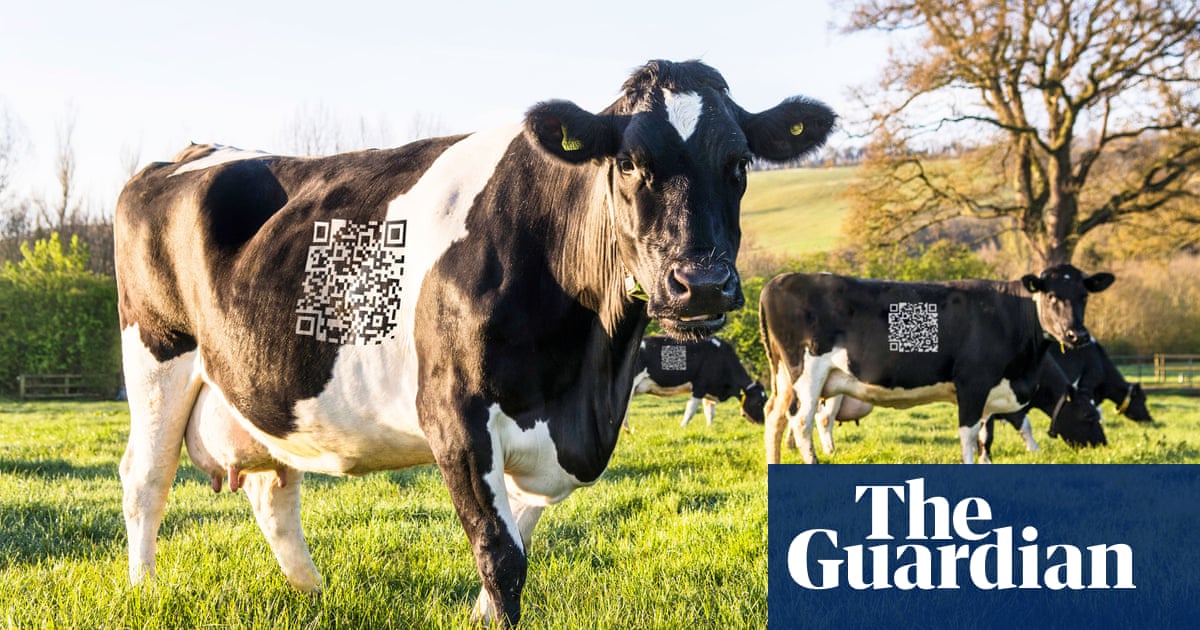 April fools innovations: from TubbyCoins to socially networked cows