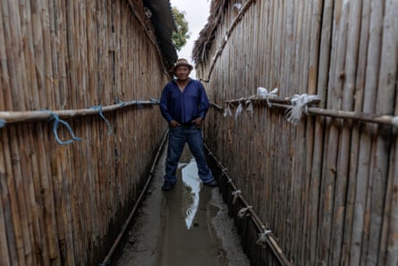 A mana weaing jeans and a blue shirt stands with his legs straddling a narrow, flooded passageway between bamboo walls.