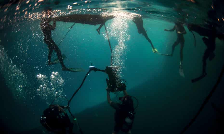 Photographie sous-marine de The Swarm.