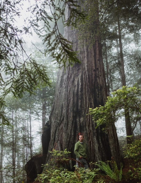 Earth Day: a Woman Lived in a 180-Foot Tree for 2 Years to Save a