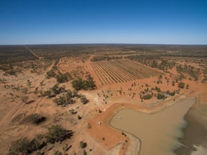 Sommariva station, a cattle and olive business outside Charleville, Queensland.