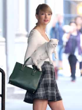 Taylor Swift out with her cat in New York.
