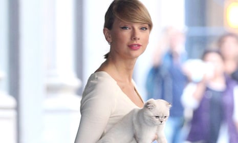 Taylor Swift and Meredith the cat in New York, 2014. 