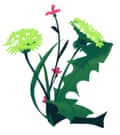 Dandelions
