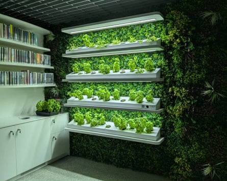 The hydroponic garden wall in the Metroteka public library inside Kondratowicza metro station in Warsaw, Poland.