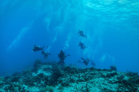 Eight scuba divers diving off the coast of Cozumel, Mexico