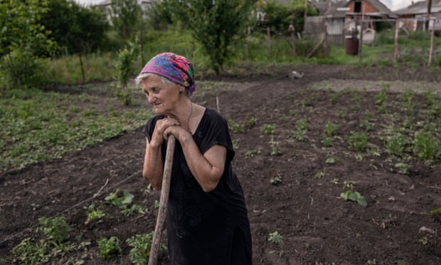 Maria Miroshnyk (77) working in the garden of her grandson in Mala Rohan.
